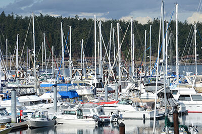 Staycation: San Juan Island